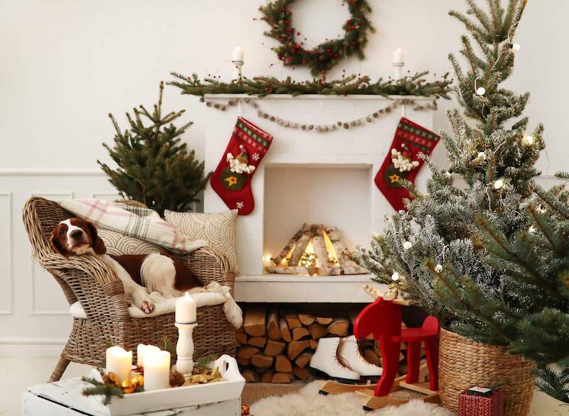 Making Your Home Ready for Santa